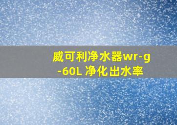 威可利净水器wr-g-60L 净化出水率